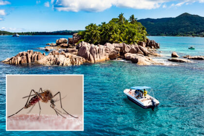 seychelles mosquito virus outbreak